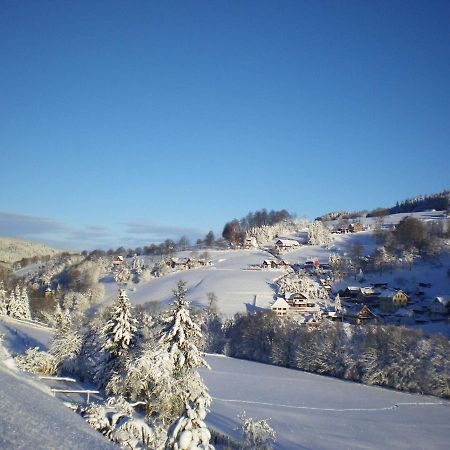 Cozy Apartment In Ore Mountains With Balcony Breitenbrunn  Luaran gambar