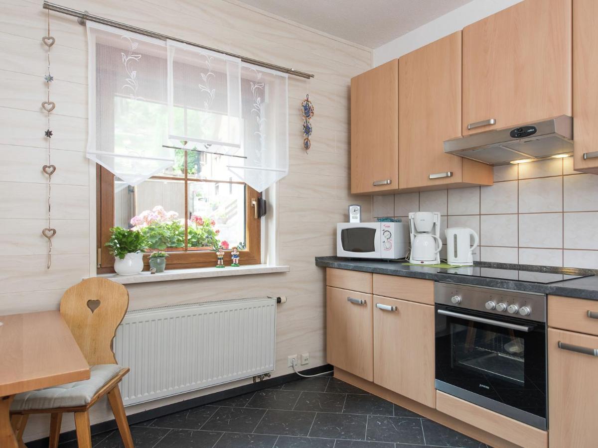 Cozy Apartment In Ore Mountains With Balcony Breitenbrunn  Bilik gambar