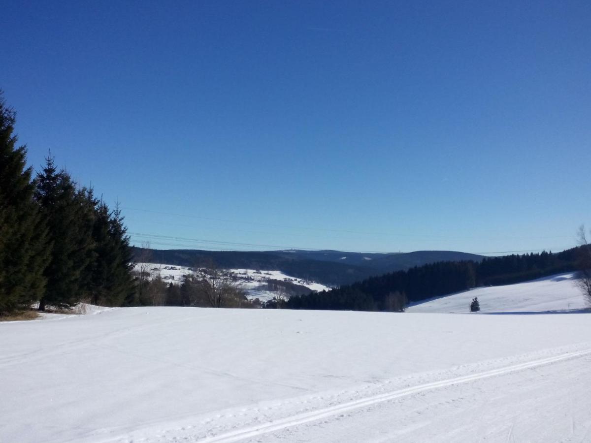 Cozy Apartment In Ore Mountains With Balcony Breitenbrunn  Bilik gambar