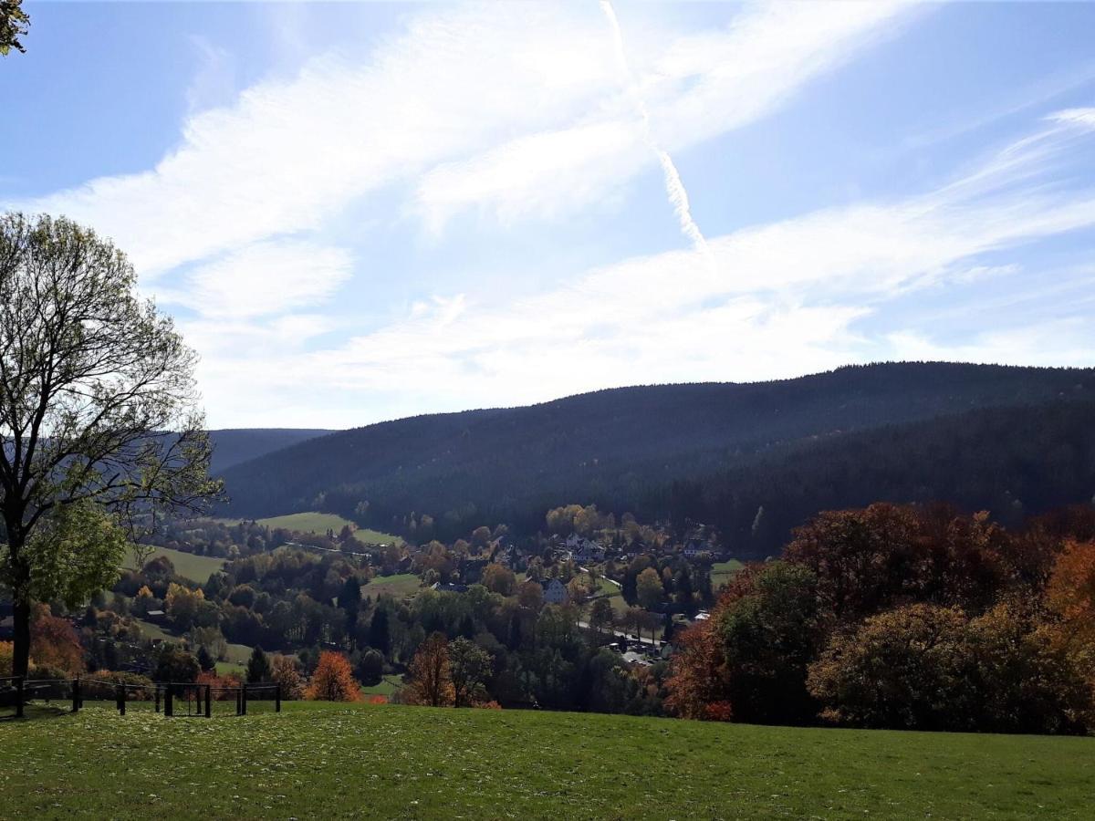 Cozy Apartment In Ore Mountains With Balcony Breitenbrunn  Luaran gambar