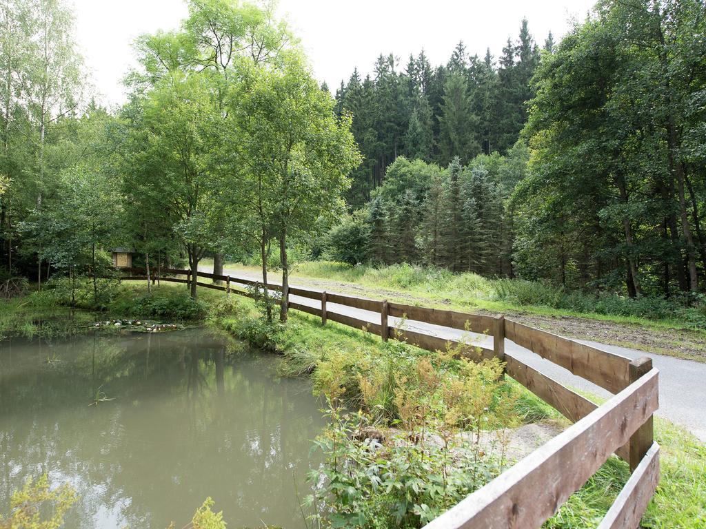 Cozy Apartment In Ore Mountains With Balcony Breitenbrunn  Luaran gambar