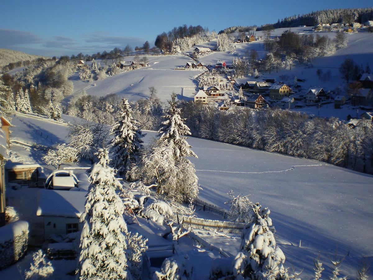 Cozy Apartment In Ore Mountains With Balcony Breitenbrunn  Luaran gambar